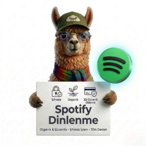 spotify 2.500 dinlenme
